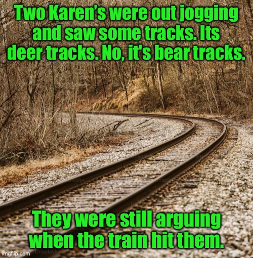 Jogging | Two Karen’s were out jogging and saw some tracks. Its deer tracks. No, it's bear tracks. They were still arguing when the train hit them. | image tagged in train tracks,jogging,deer tracks,bear tracks,arguing,train hit them | made w/ Imgflip meme maker