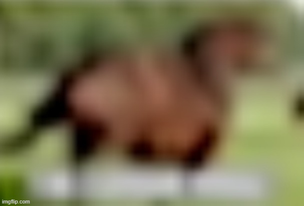 extremely low quality horse | image tagged in extremely low quality horse | made w/ Imgflip meme maker