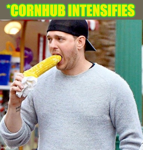 Meanwhile in Iowa | *CORNHUB INTENSIFIES | image tagged in iowa,wheres the corn,corn | made w/ Imgflip meme maker