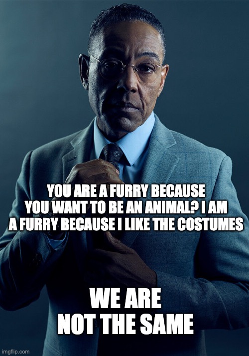 Gus Fring we are not the same | YOU ARE A FURRY BECAUSE YOU WANT TO BE AN ANIMAL? I AM A FURRY BECAUSE I LIKE THE COSTUMES; WE ARE NOT THE SAME | image tagged in gus fring we are not the same | made w/ Imgflip meme maker