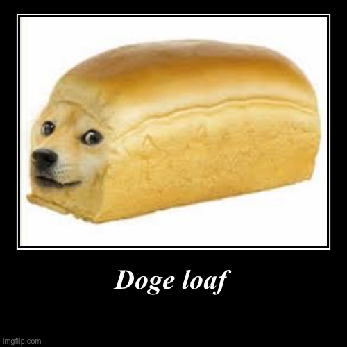 Doge loaf | | image tagged in funny,demotivationals | made w/ Imgflip demotivational maker