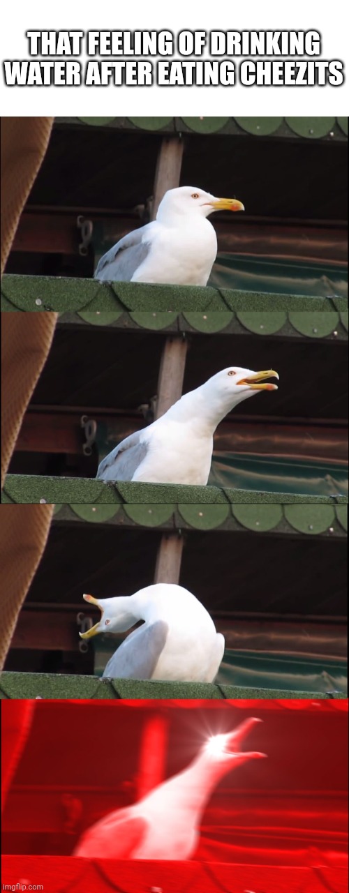 AAAAAAAAAAA | THAT FEELING OF DRINKING WATER AFTER EATING CHEEZITS | image tagged in memes,inhaling seagull,funny | made w/ Imgflip meme maker