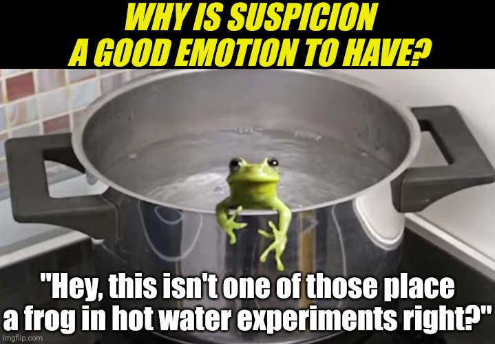 Why is being suspicious good for you? | WHY IS SUSPICION A GOOD EMOTION TO HAVE? "Hey, this isn't one of those place a frog in hot water experiments right?" | image tagged in frog,water,experiment,suspicious,safety,it's time to start asking yourself the big questions meme | made w/ Imgflip meme maker