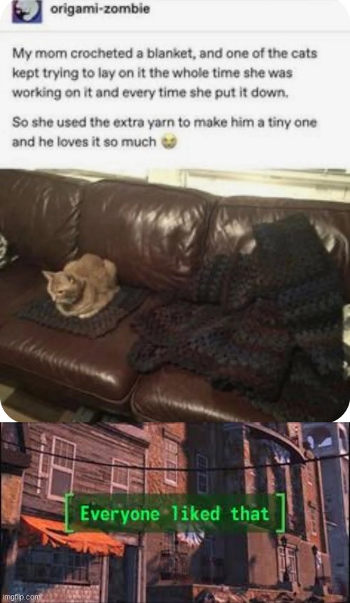Kitty | image tagged in everyone liked that,cats,tumblr,blanket,kitty | made w/ Imgflip meme maker
