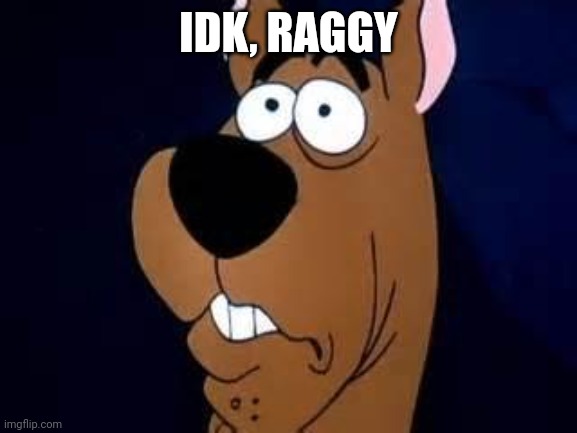 Scooby Doo Surprised | IDK, RAGGY | image tagged in scooby doo surprised | made w/ Imgflip meme maker