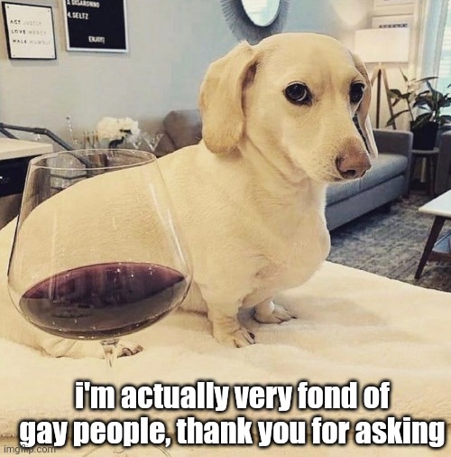 . | i'm actually very fond of gay people, thank you for asking | made w/ Imgflip meme maker