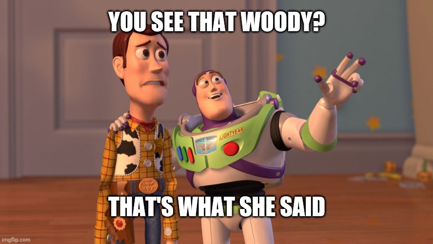 Imgflip's ai generator is to smart | YOU SEE THAT WOODY? THAT'S WHAT SHE SAID | image tagged in x x everywhere | made w/ Imgflip meme maker