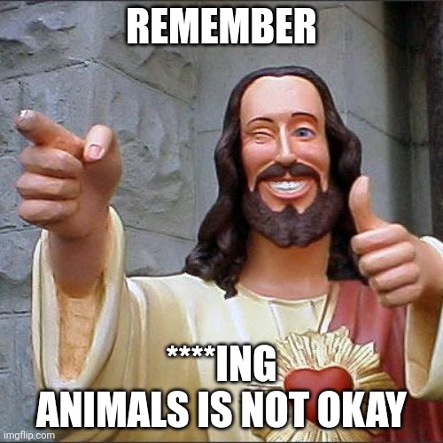 Buddy Christ | REMEMBER; ****ING ANIMALS IS NOT OKAY | image tagged in memes,buddy christ,animals,remember | made w/ Imgflip meme maker
