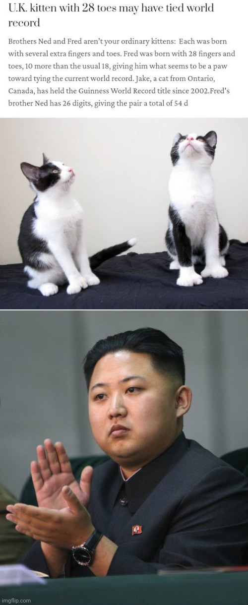 So unique | image tagged in kim jong un - clapping,cats,cat,unique,memes,toes | made w/ Imgflip meme maker