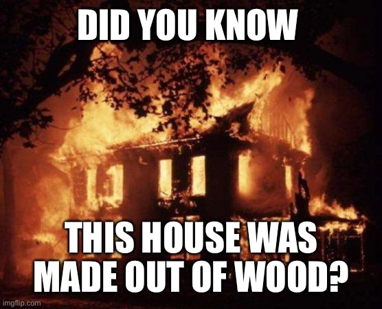 House Made Out Of Wood | DID YOU KNOW; THIS HOUSE WAS MADE OUT OF WOOD? | image tagged in burning house,house,wood,did you know | made w/ Imgflip meme maker