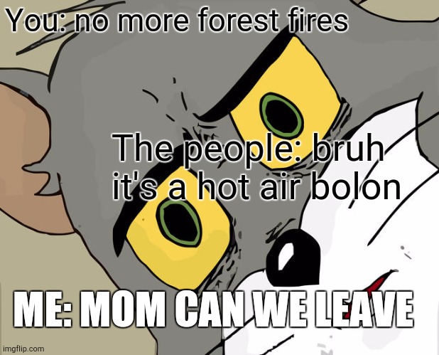 Memes | You: no more forest fires; The people: bruh it's a hot air bolon; ME: MOM CAN WE LEAVE | image tagged in memes,unsettled tom | made w/ Imgflip meme maker