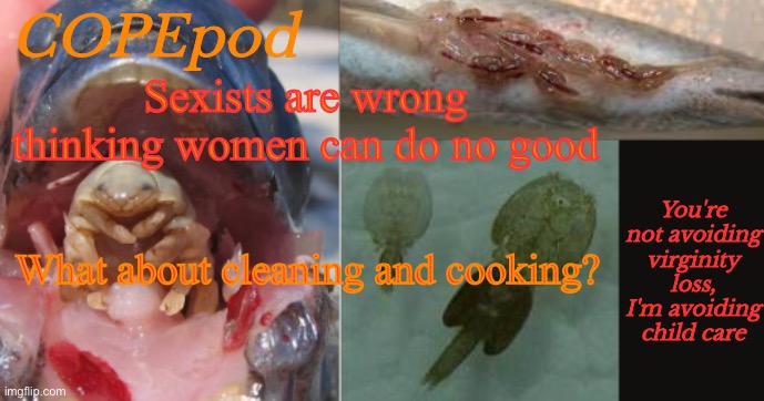 COPEpod's announcement template | Sexists are wrong thinking women can do no good; What about cleaning and cooking? | image tagged in copepod's announcement template | made w/ Imgflip meme maker