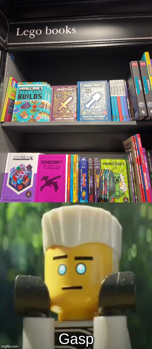 Aw yes Minecraft books | image tagged in zane gasp,lego,minecraft,books,book,memes | made w/ Imgflip meme maker