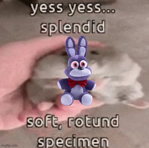 soft rotund specimen | image tagged in soft rotund specimen | made w/ Imgflip meme maker