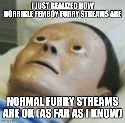 Traumatized Mannequin | I JUST REALIZED HOW HORRIBLE FEMBOY FURRY STREAMS ARE; NORMAL FURRY STREAMS ARE OK (AS FAR AS I KNOW) | image tagged in traumatized mannequin | made w/ Imgflip meme maker