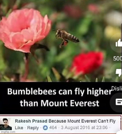 no cap guys but mt. everest can't fly 0_0 | image tagged in mount everest,bees,funny,funny texts,mountain,no shit sherlock | made w/ Imgflip meme maker