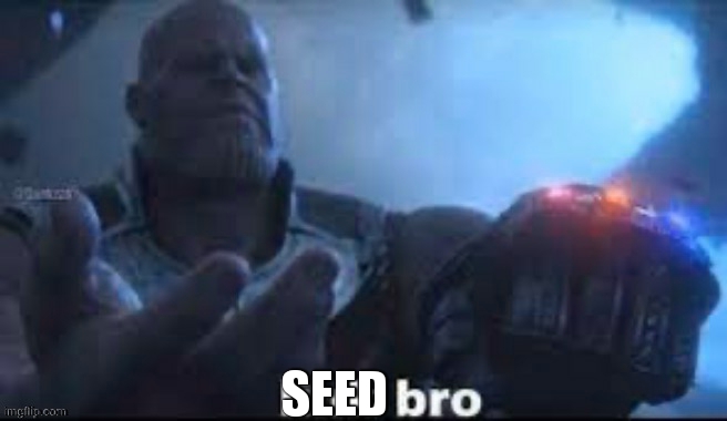 link bro | SEED | image tagged in link bro | made w/ Imgflip meme maker
