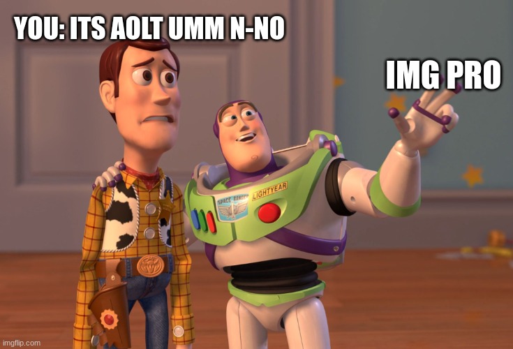 X, X Everywhere Meme | IMG PRO YOU: ITS AOLT UMM N-NO | image tagged in memes,x x everywhere | made w/ Imgflip meme maker