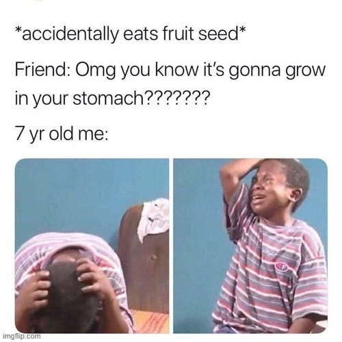 It's all fun and games 'til a watermelon grows inside you | image tagged in fruit,seeds,stomach,oh no | made w/ Imgflip meme maker