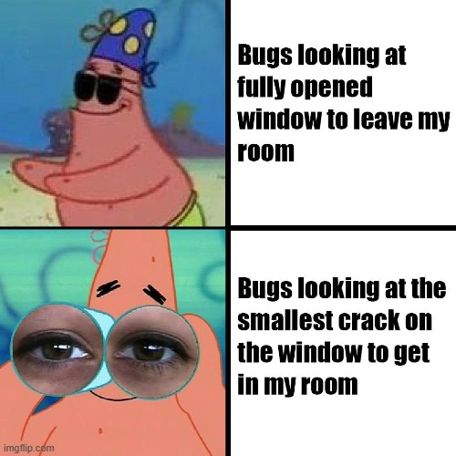 image tagged in bugs,window,room | made w/ Imgflip meme maker