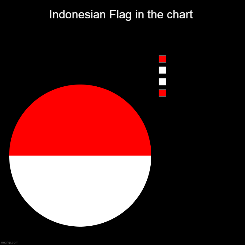indonesian flag in chart | Indonesian Flag in the chart |  ,  ,  , | image tagged in charts,pie charts | made w/ Imgflip chart maker