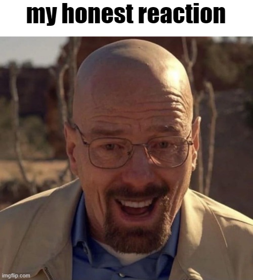 Walter white happy | my honest reaction | image tagged in walter white happy | made w/ Imgflip meme maker