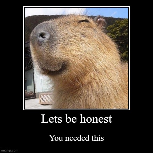 Capy blappy :) | Lets be honest | You needed this | image tagged in funny,demotivationals | made w/ Imgflip demotivational maker