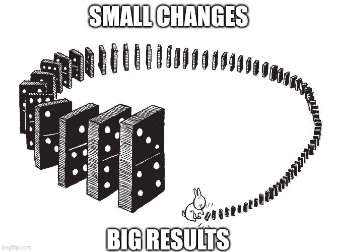 Dominoes bunny | SMALL CHANGES; BIG RESULTS | image tagged in dominoes bunny | made w/ Imgflip meme maker