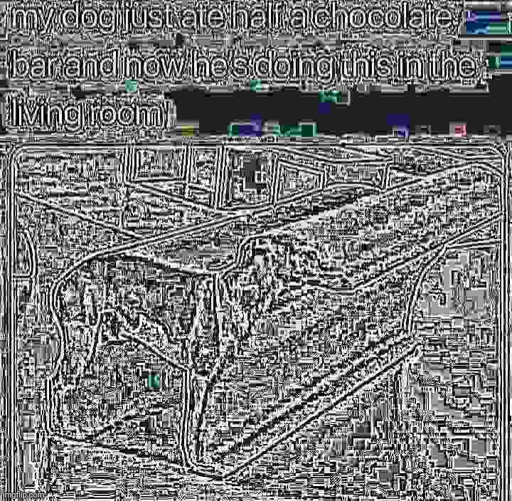 Mildésmallington glitching dog | image tagged in my dog just ate half a chocolate bar | made w/ Imgflip meme maker