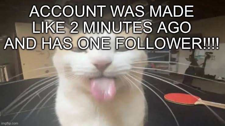 Milly the silly cat Bleh Cat | ACCOUNT WAS MADE LIKE 2 MINUTES AGO AND HAS ONE FOLLOWER!!!! | image tagged in milly the silly cat bleh cat | made w/ Imgflip meme maker