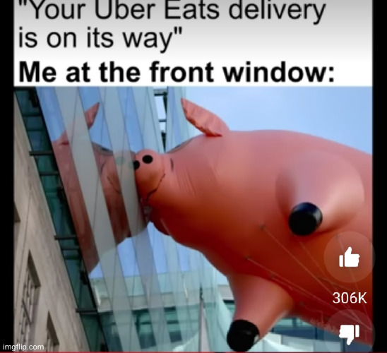 I'm hungweeee | image tagged in pig,uber,hungry,funny,piggy,food | made w/ Imgflip meme maker
