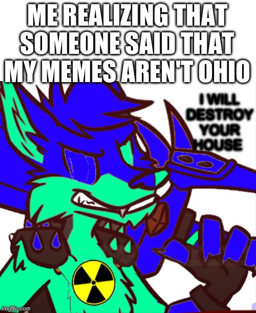 ME REALIZING THAT SOMEONE SAID THAT MY MEMES AREN'T OHIO; I WILL DESTROY YOUR HOUSE | made w/ Imgflip meme maker