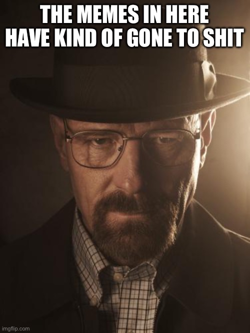 Walter White | THE MEMES IN HERE HAVE KIND OF GONE TO SHIT | image tagged in walter white | made w/ Imgflip meme maker