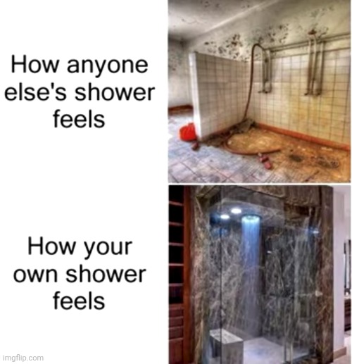 Meme #2,851 | image tagged in memes,repost,true,relatable,shower,water | made w/ Imgflip meme maker