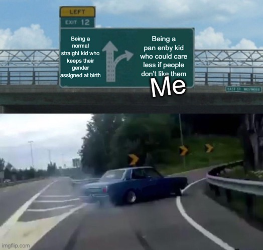 if you’re straight and keep your gender assigned at birth that’s totally fine as well! I support everyone! Have a great day! :) | Being a normal straight kid who keeps their gender assigned at birth; Being a pan enby kid who could care less if people don’t like them; Me | image tagged in memes,left exit 12 off ramp,ew | made w/ Imgflip meme maker