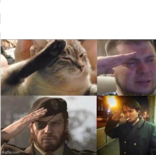 Sad Salute Meme | image tagged in sad salute meme | made w/ Imgflip meme maker