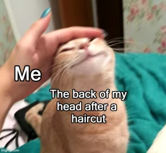 #2,852 | image tagged in memes,relatable,haircut,hair,true,relatable memes | made w/ Imgflip meme maker