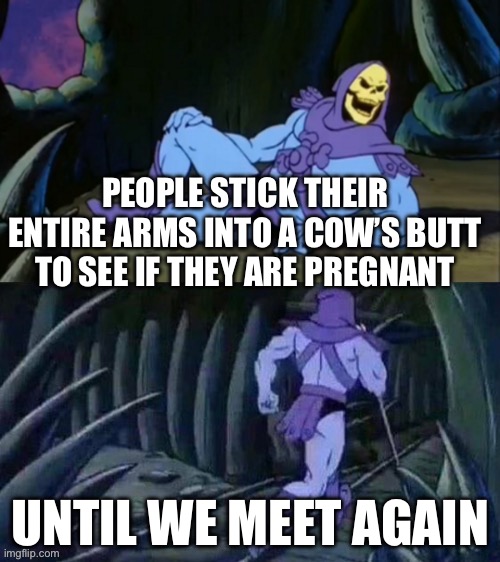 Learned this the other day | PEOPLE STICK THEIR ENTIRE ARMS INTO A COW’S BUTT TO SEE IF THEY ARE PREGNANT; UNTIL WE MEET AGAIN | image tagged in skeletor disturbing facts,memes | made w/ Imgflip meme maker