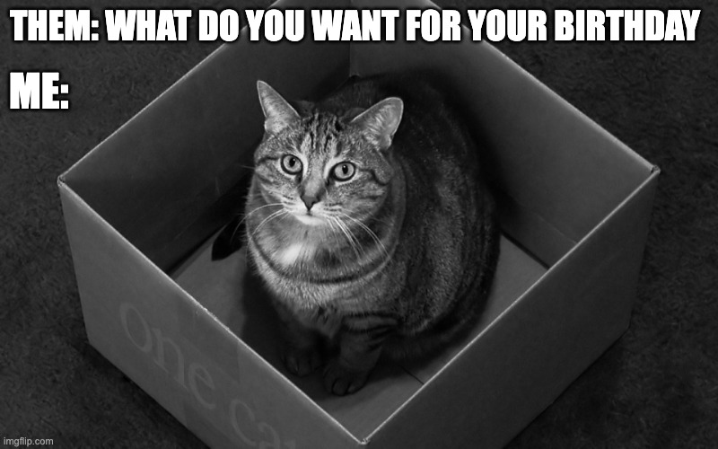 Birthday cat | ME:; THEM: WHAT DO YOU WANT FOR YOUR BIRTHDAY | image tagged in schrodinger's cat,cat,birthday | made w/ Imgflip meme maker