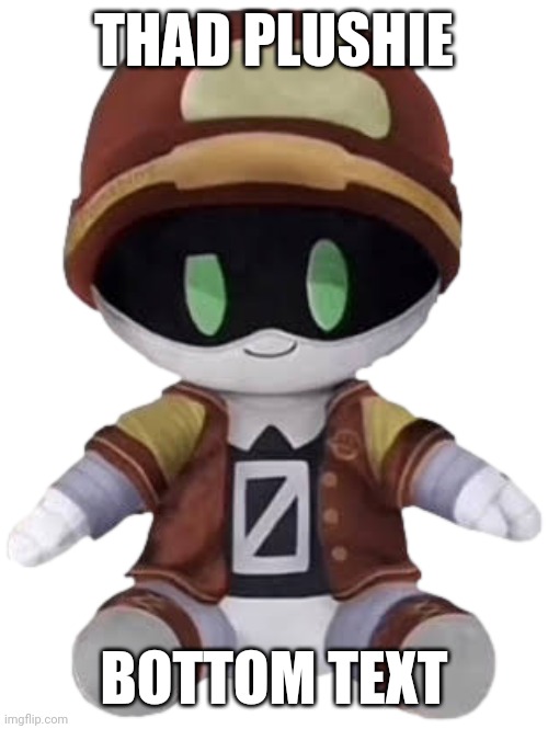 Thad Plushie | THAD PLUSHIE; BOTTOM TEXT | image tagged in thad plushie | made w/ Imgflip meme maker