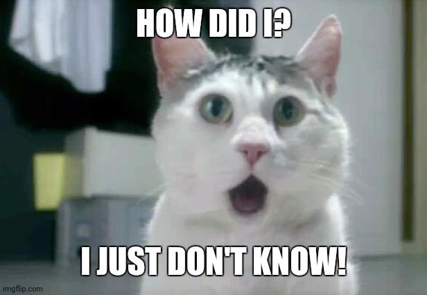 OMG Cat Meme | HOW DID I? I JUST DON'T KNOW! | image tagged in memes,omg cat | made w/ Imgflip meme maker