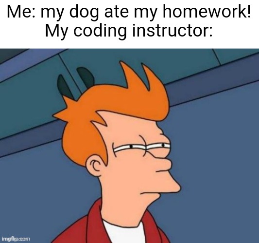 Meme #2,860 | Me: my dog ate my homework!
My coding instructor: | image tagged in fry is not sure,memes,coding,dogs,homework,funny | made w/ Imgflip meme maker