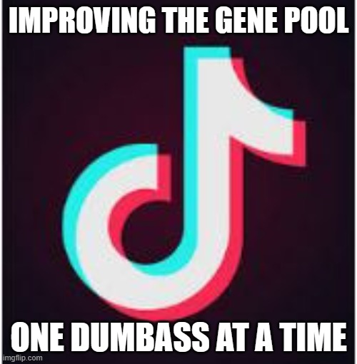 You can't have any pudding if you don't eat your tide pods! | IMPROVING THE GENE POOL; ONE DUMBASS AT A TIME | image tagged in tik tok,funny memes,challenge,stupid people,puppies and kittens | made w/ Imgflip meme maker