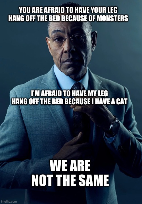 Owning cats | YOU ARE AFRAID TO HAVE YOUR LEG HANG OFF THE BED BECAUSE OF MONSTERS; I’M AFRAID TO HAVE MY LEG HANG OFF THE BED BECAUSE I HAVE A CAT; WE ARE NOT THE SAME | image tagged in we are not the same | made w/ Imgflip meme maker