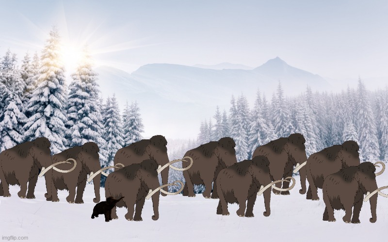 Paleo Planet: Mammoth migration in Cenozoic Tour.mp3 | image tagged in snow biome | made w/ Imgflip meme maker