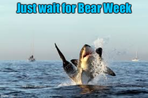 Just wait for Bear Week | made w/ Imgflip meme maker