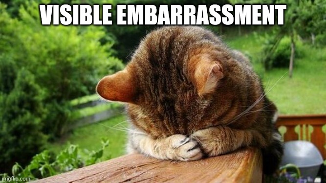 Embarrassed Cat | VISIBLE EMBARRASSMENT | image tagged in embarrassed cat | made w/ Imgflip meme maker