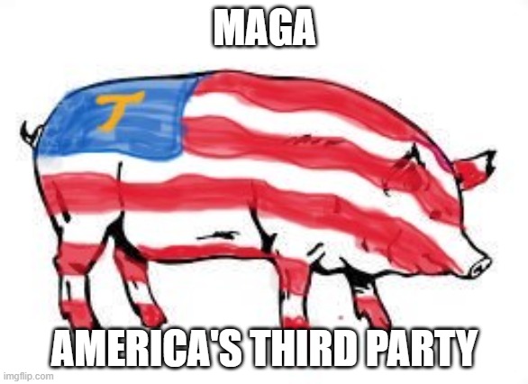 MAGA; AMERICA'S THIRD PARTY | made w/ Imgflip meme maker