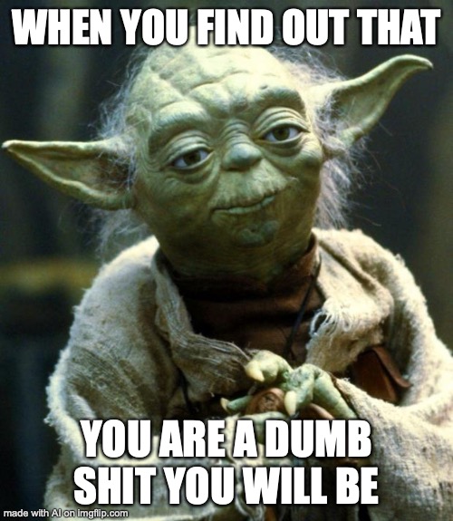 Star Wars Yoda | WHEN YOU FIND OUT THAT; YOU ARE A DUMB SHIT YOU WILL BE | image tagged in memes,star wars yoda | made w/ Imgflip meme maker