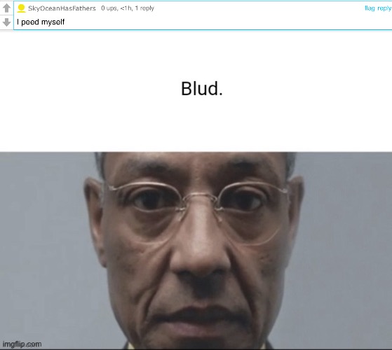 Blud | image tagged in blud | made w/ Imgflip meme maker